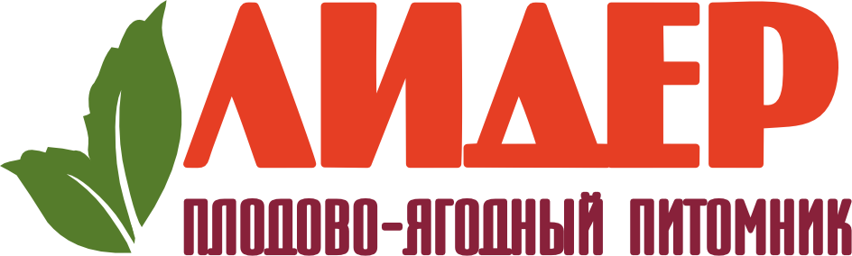 Лидер