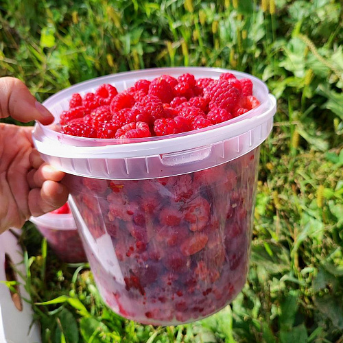 Малина второй сорт (на варенье), ведро 2 кг