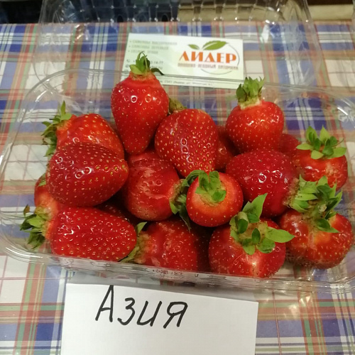 Клубника Азия